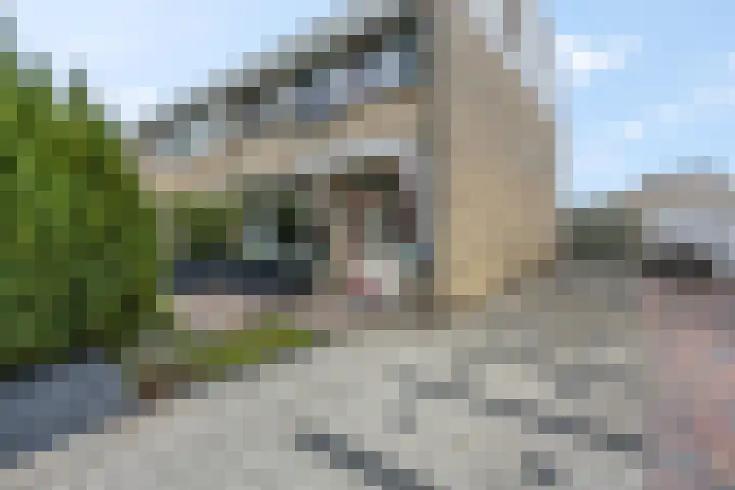 Batenstein 14 Ede thumbnail 54