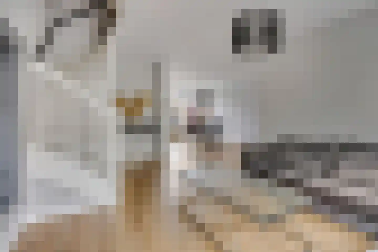 Batenstein 14 Ede thumbnail 6