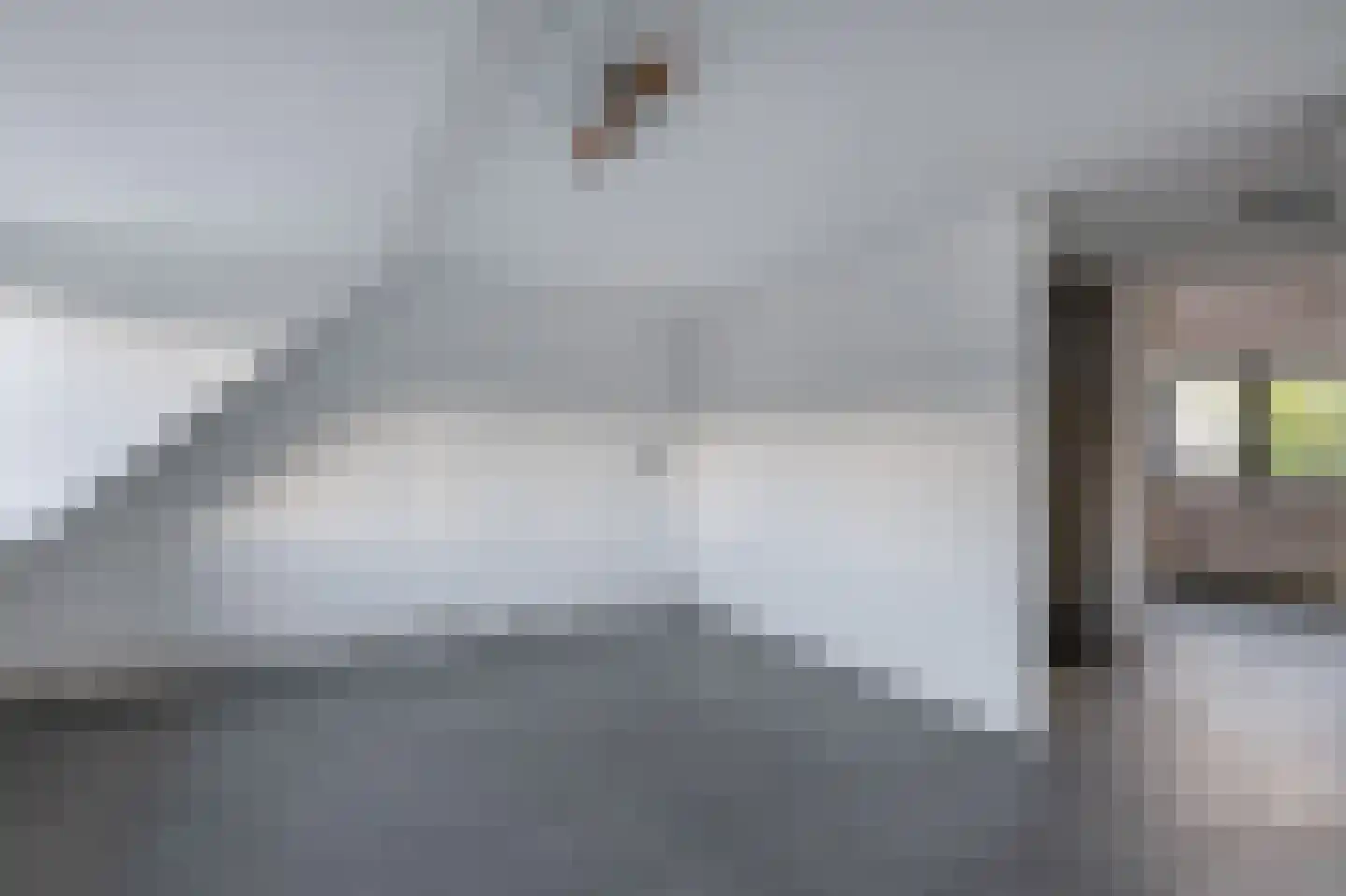 Batenstein 31 Alphen aan den Rijn thumbnail 30