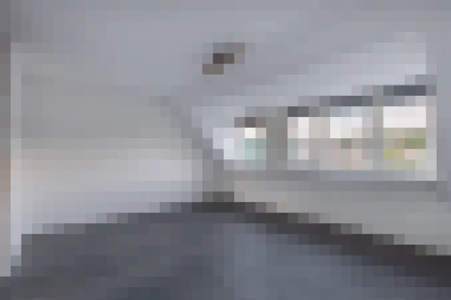 Batenstein 31 Alphen aan den Rijn thumbnail 31