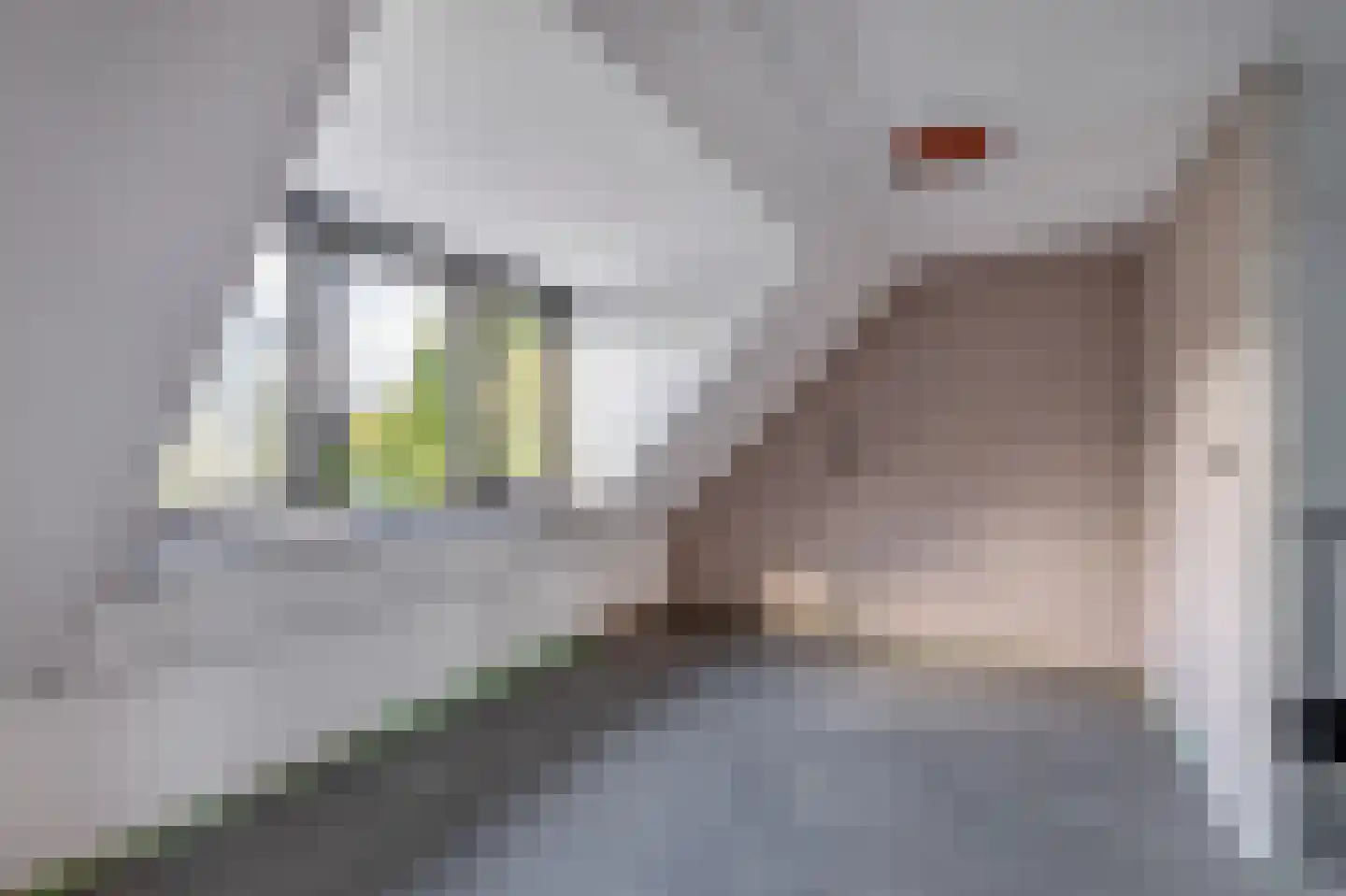 Batenstein 31 Alphen aan den Rijn thumbnail 32