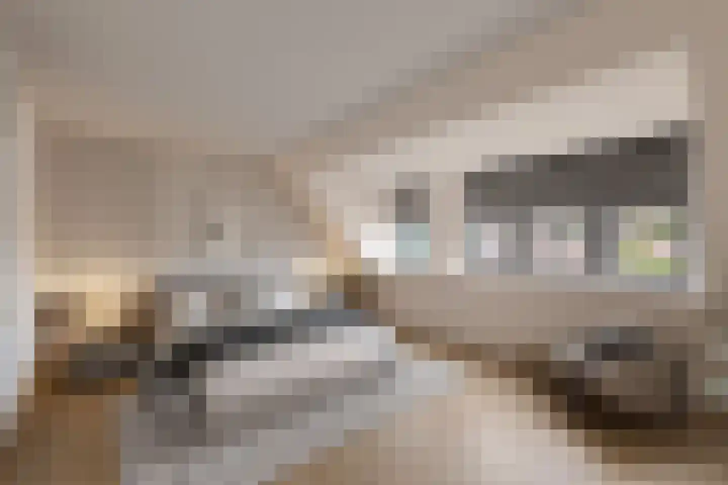 Batenstein 31 Alphen aan den Rijn thumbnail 36