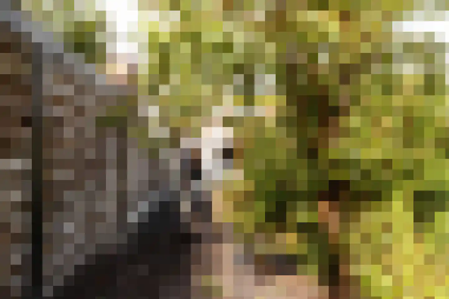 Batestein 2 B Harmelen thumbnail 18