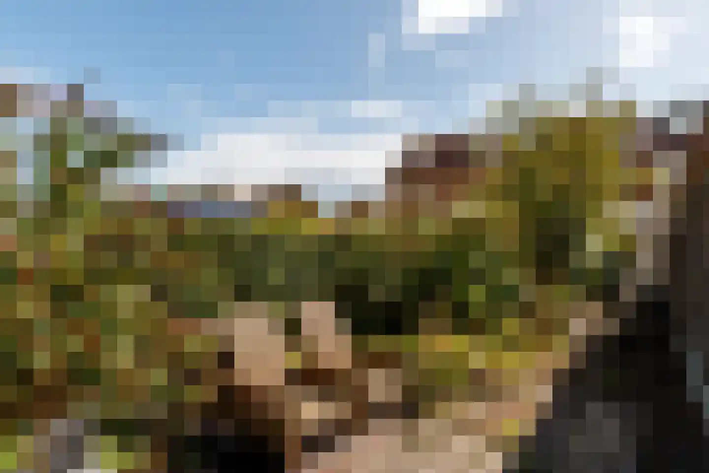 Batestein 2 B Harmelen thumbnail 19