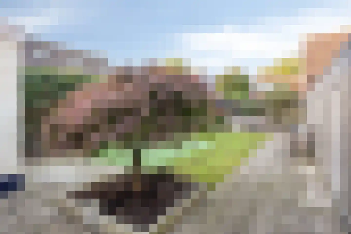 Batestein 40 Harmelen thumbnail 30
