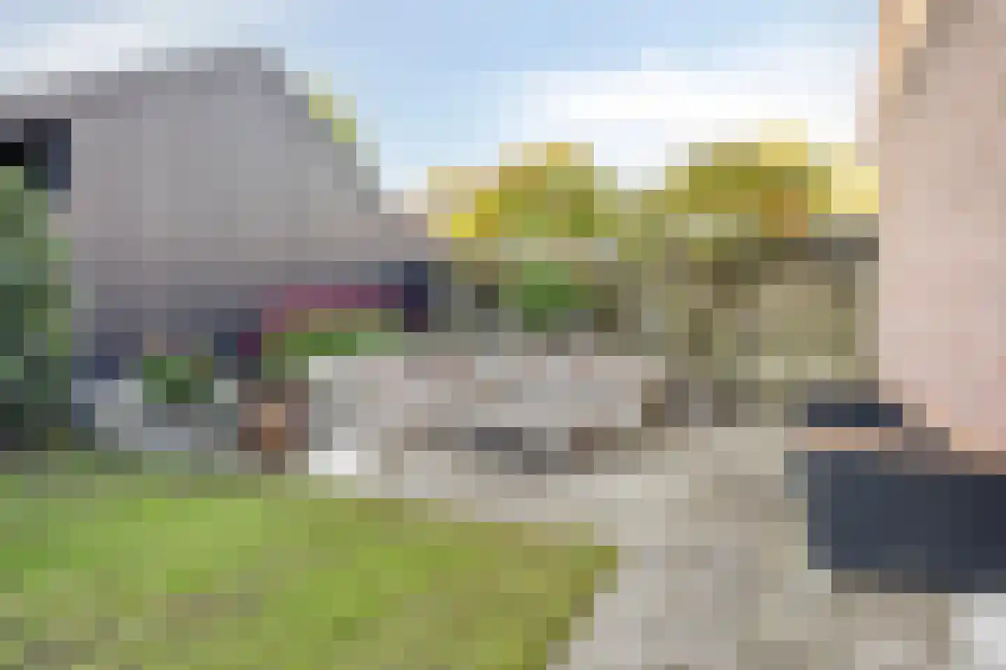 Batestein 40 Harmelen thumbnail 33