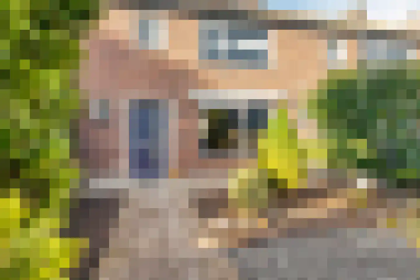 Batestein 40 Harmelen thumbnail 40