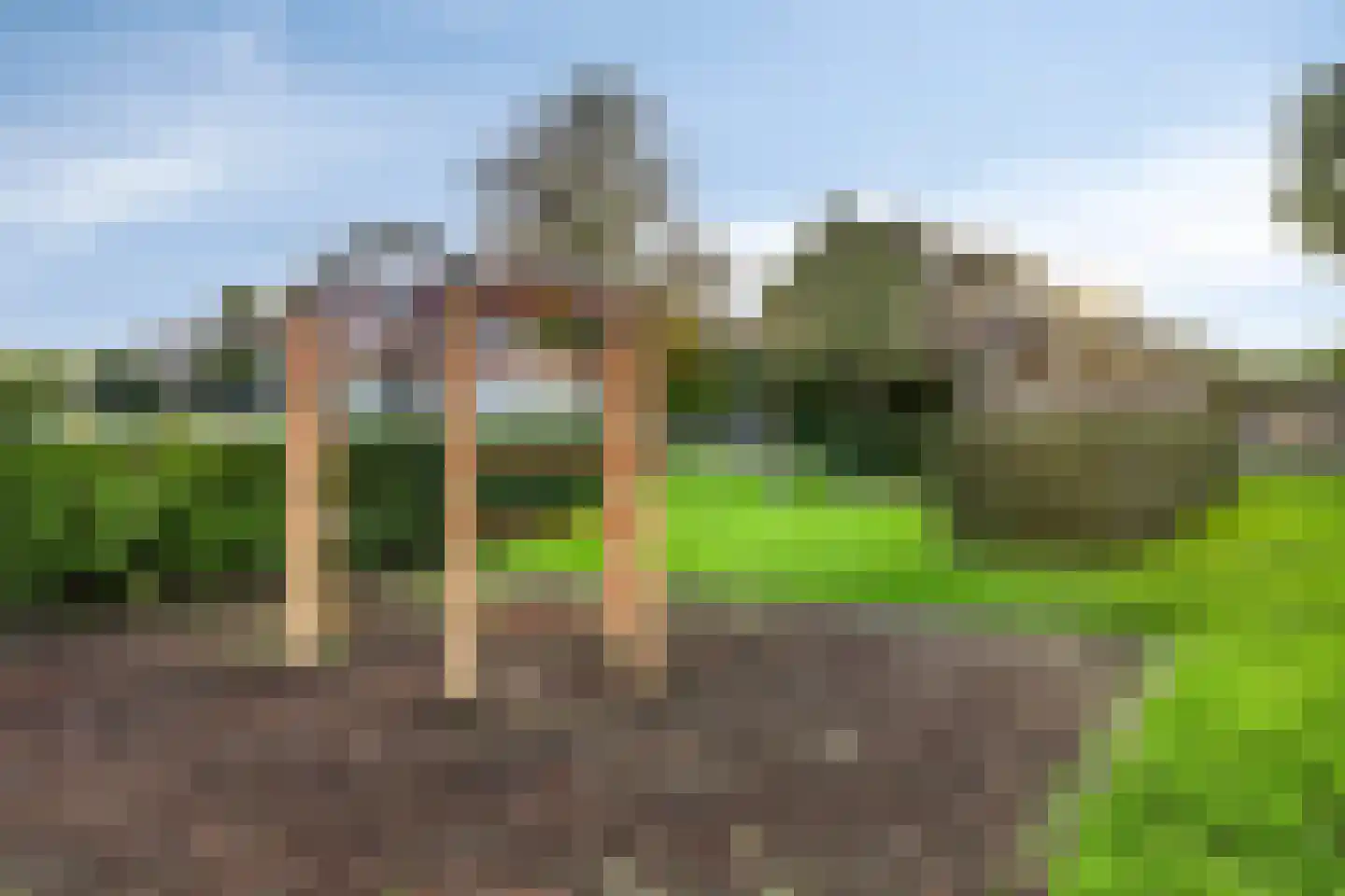 Batestein 40 Harmelen thumbnail 42