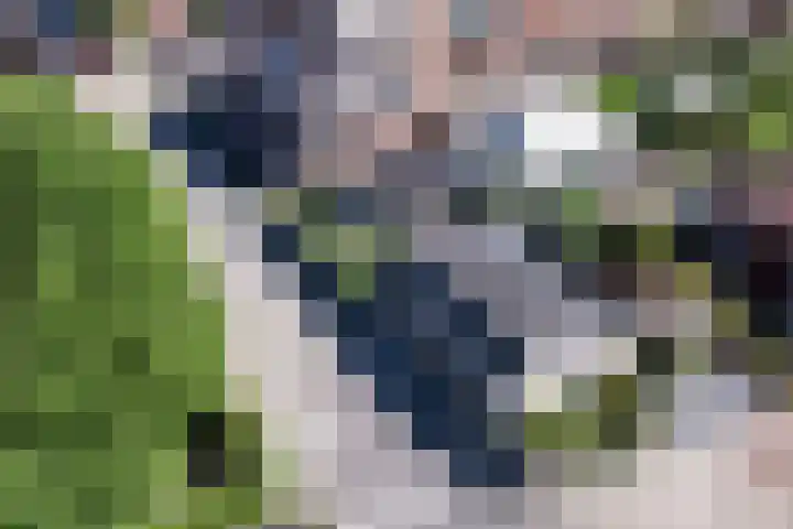 Bateweg 1 in Woubrugge