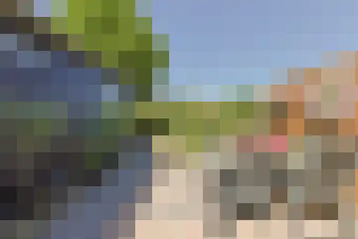 Bateweg 1 Woubrugge thumbnail 56