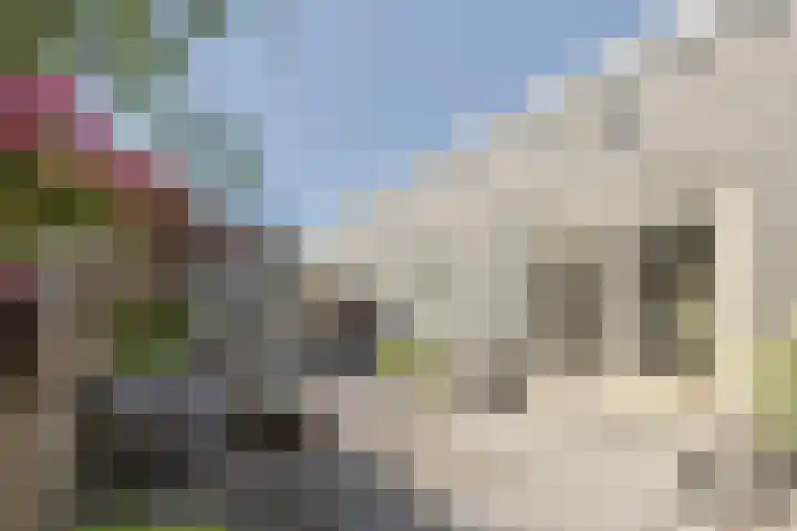 Bateweg 1 Woubrugge thumbnail 65