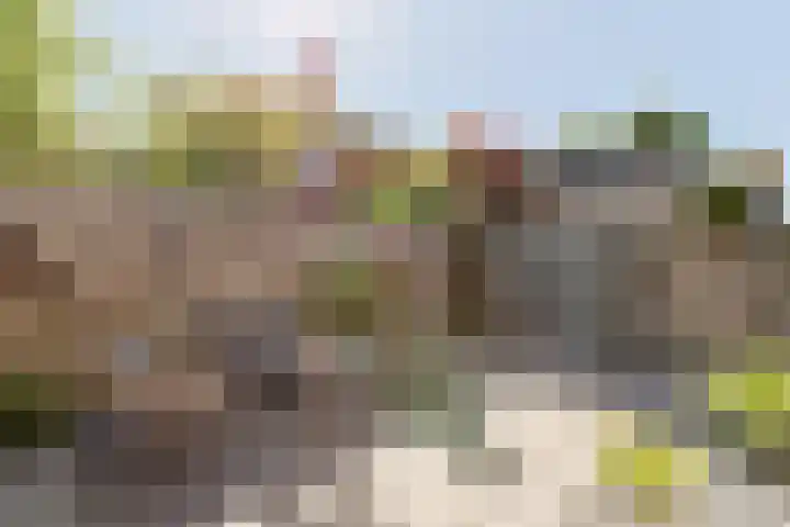 Bateweg 1 Woubrugge thumbnail 66