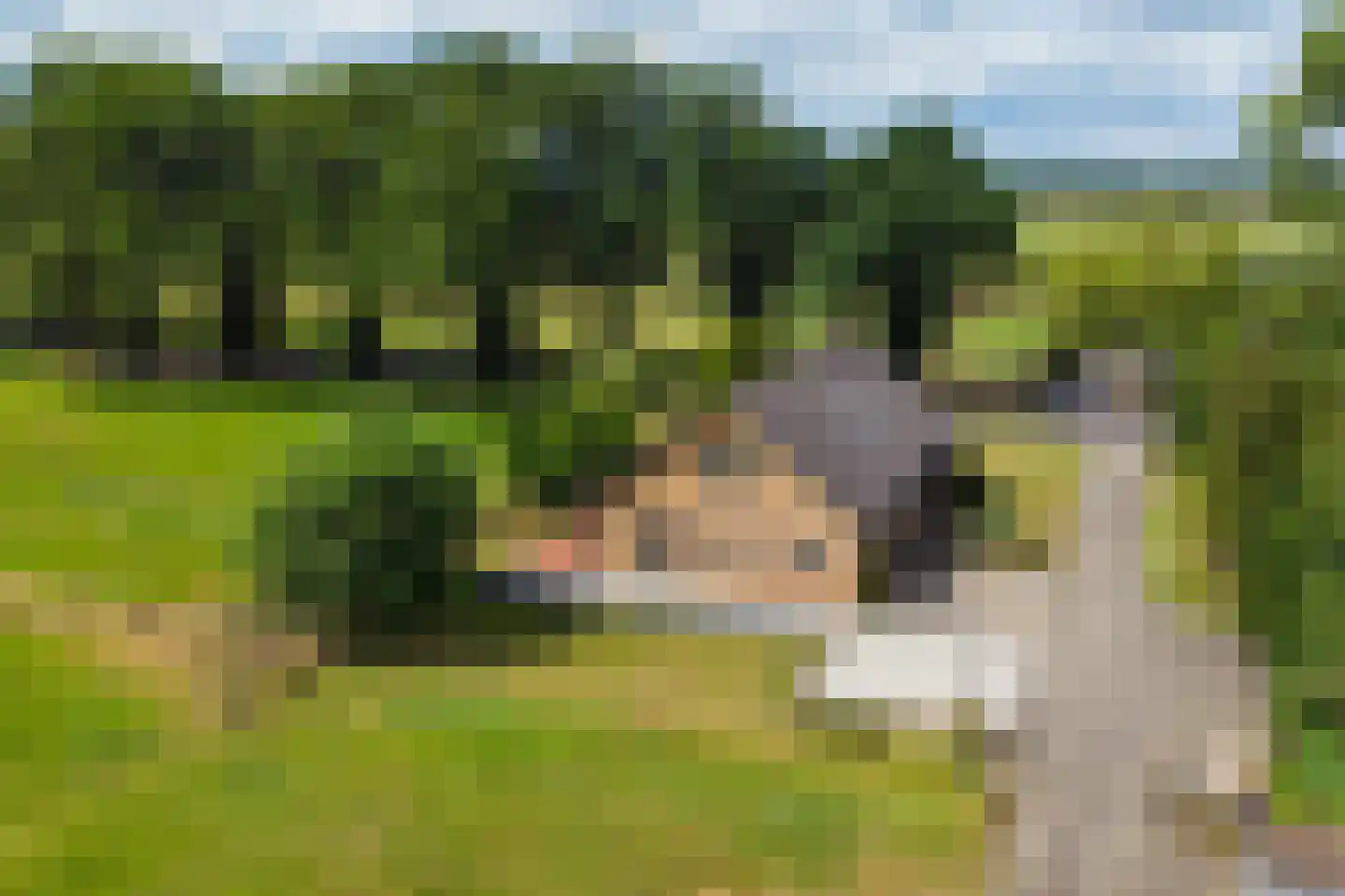 Bathmenseweg 12 b Kring van Dorth thumbnail 21