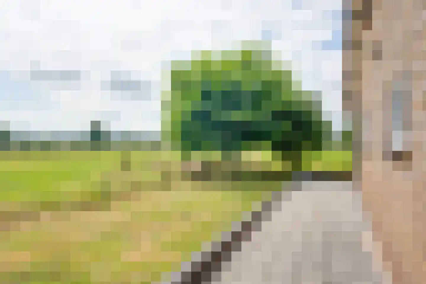 Bathmenseweg 12 b Kring van Dorth thumbnail 24