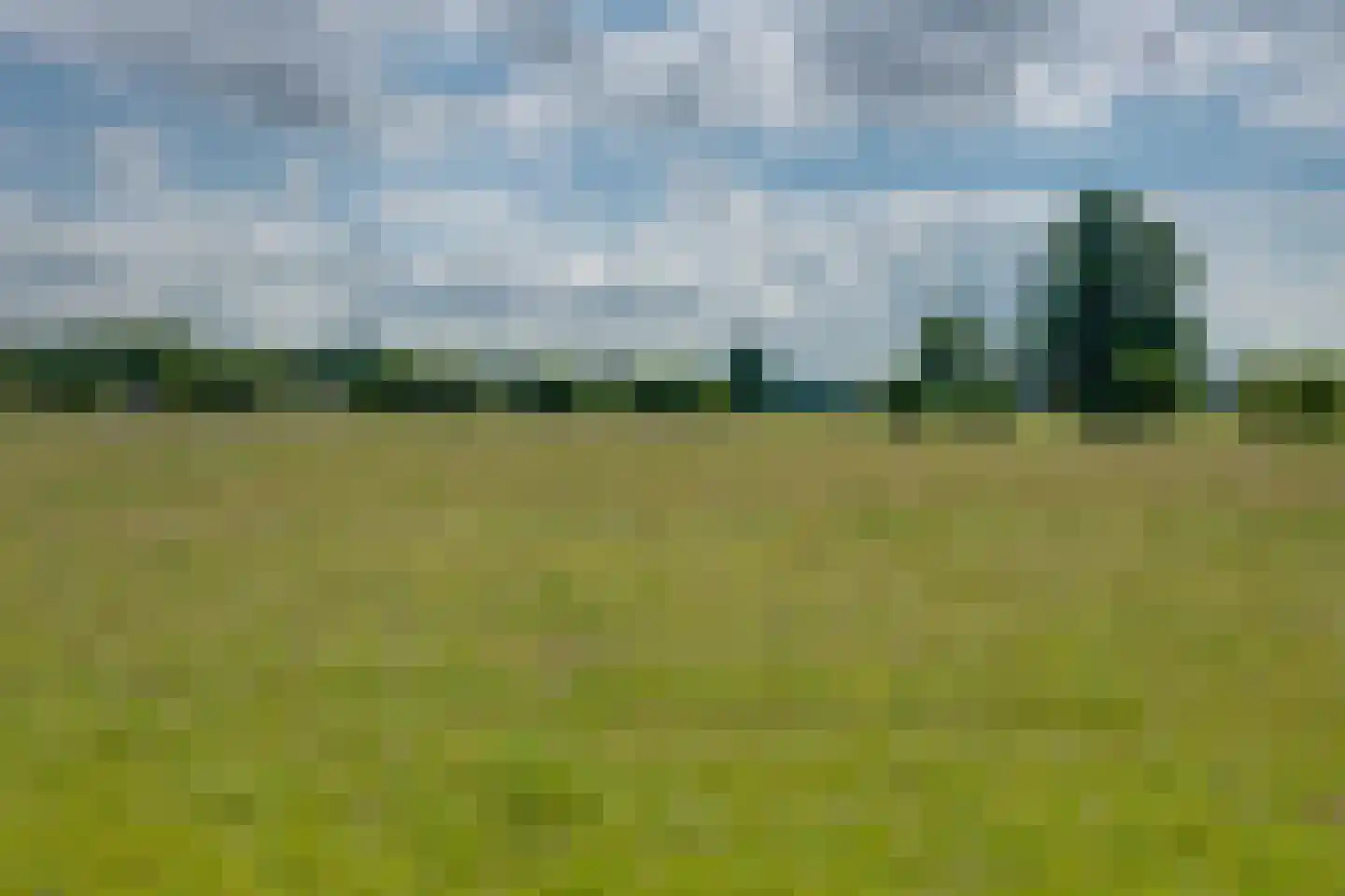 Bathmenseweg 12 b Kring van Dorth thumbnail 29