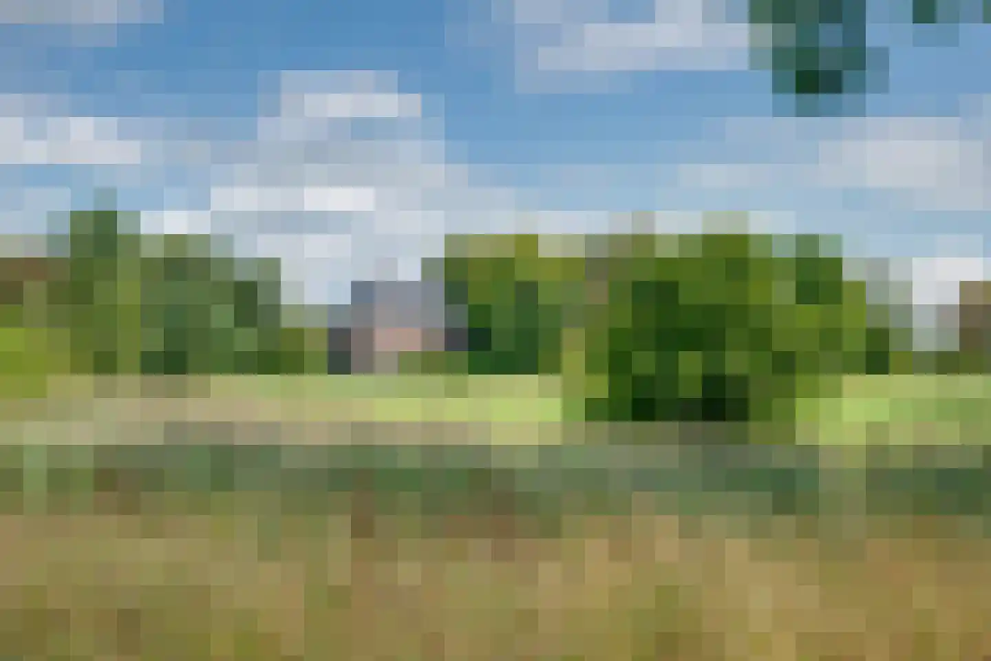 Bathmenseweg 12 b Kring van Dorth thumbnail 32