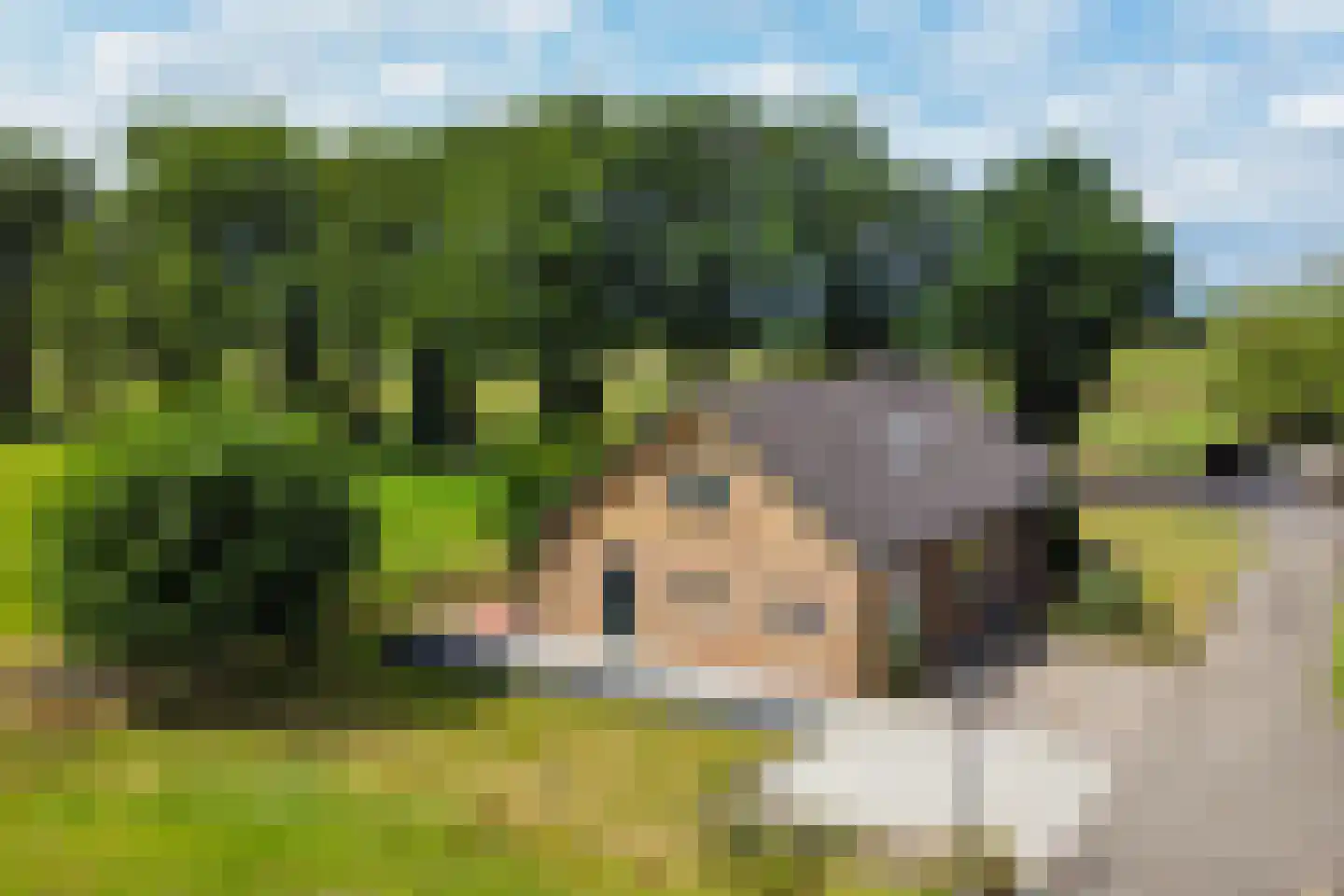 Bathmenseweg 12 b Kring van Dorth thumbnail 34