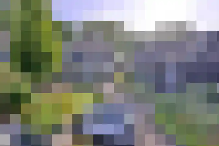 Bathmenseweg 27 A Lettele thumbnail 24