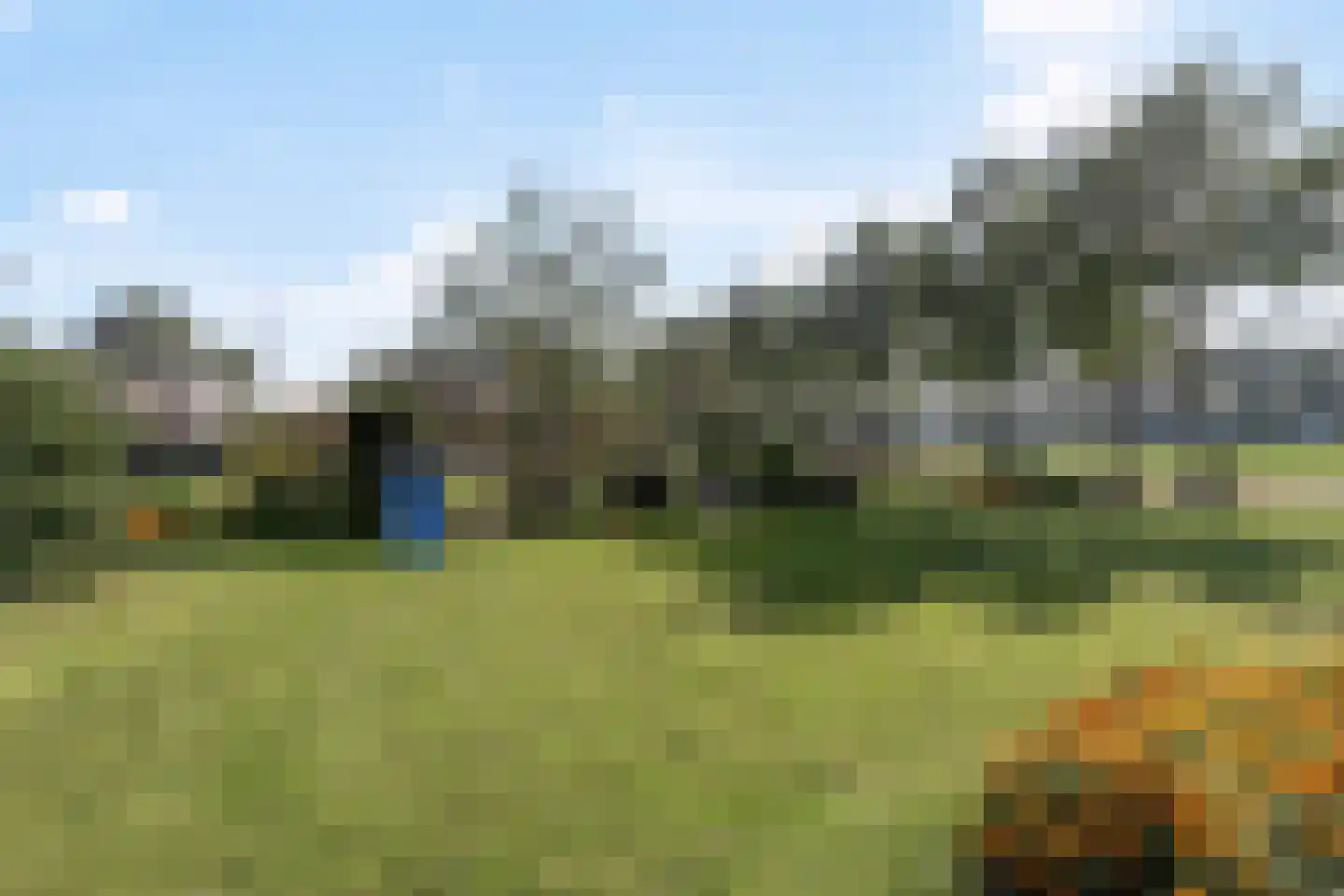 Bathmenseweg 46 Lettele thumbnail 33