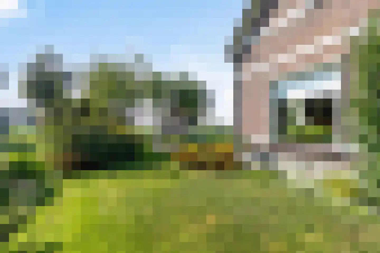 Bathmenseweg 46 Lettele thumbnail 40