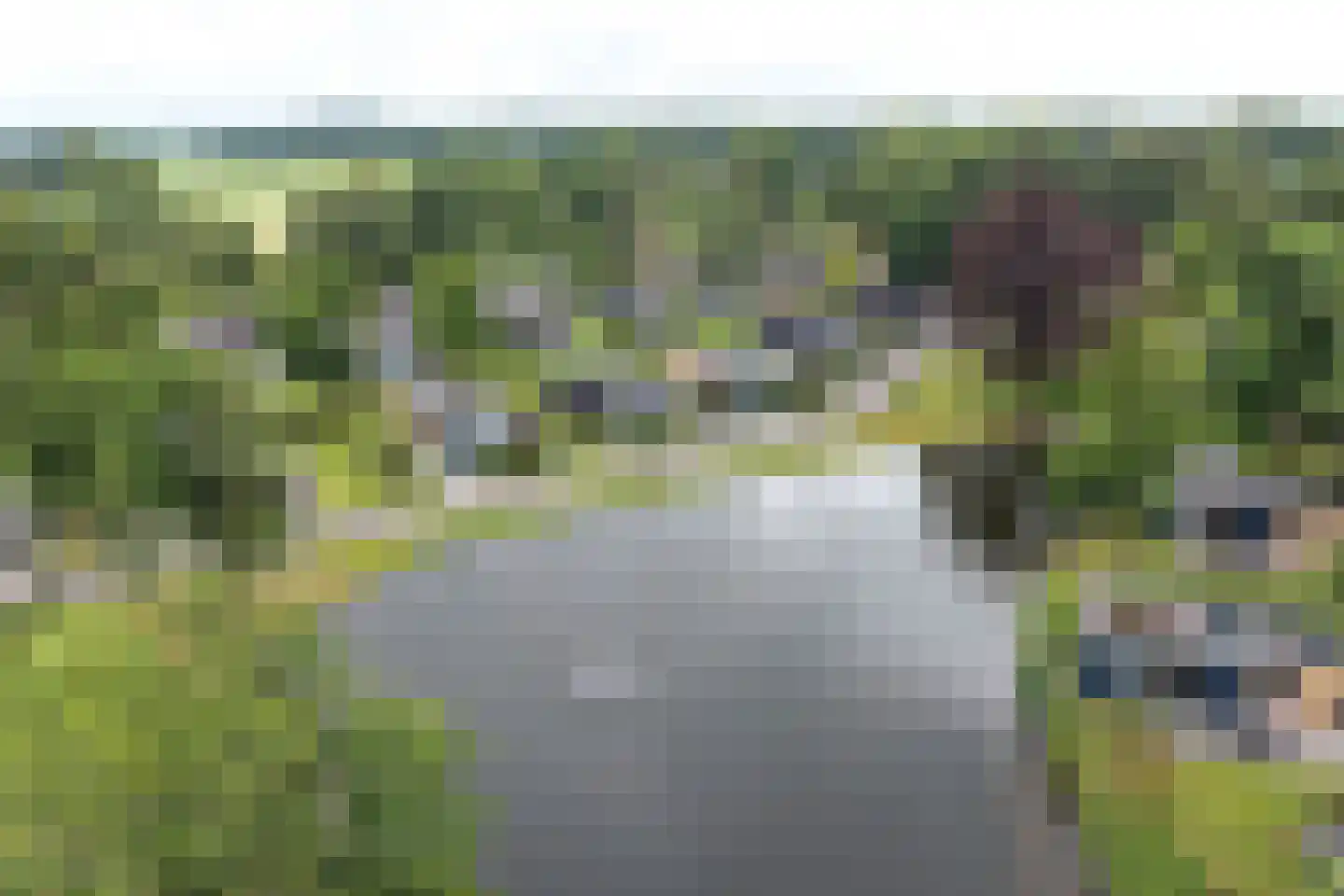 Bathmenseweg 7 501 Kring van Dorth thumbnail 4