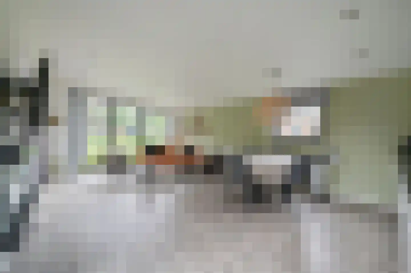 Bathmenseweg 7 501 Kring van Dorth thumbnail 8