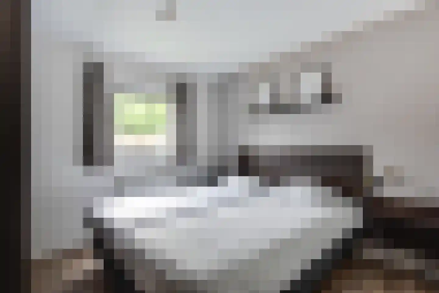 Bathmenseweg 7 H100 Kring van Dorth thumbnail 16