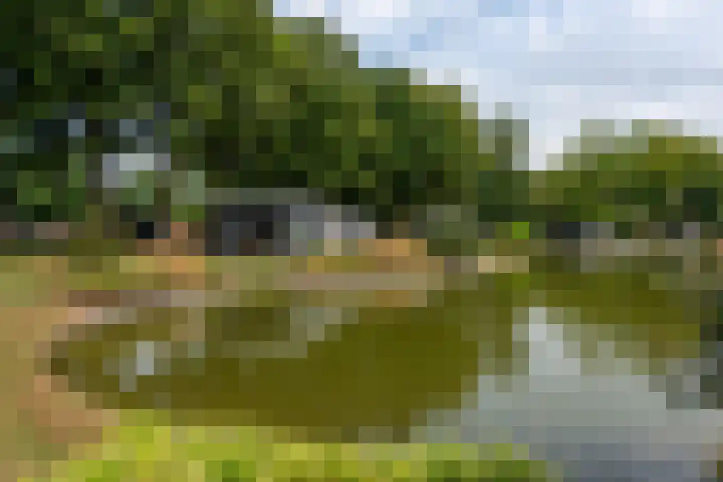 Bathmenseweg 7 H100 Kring van Dorth thumbnail 21