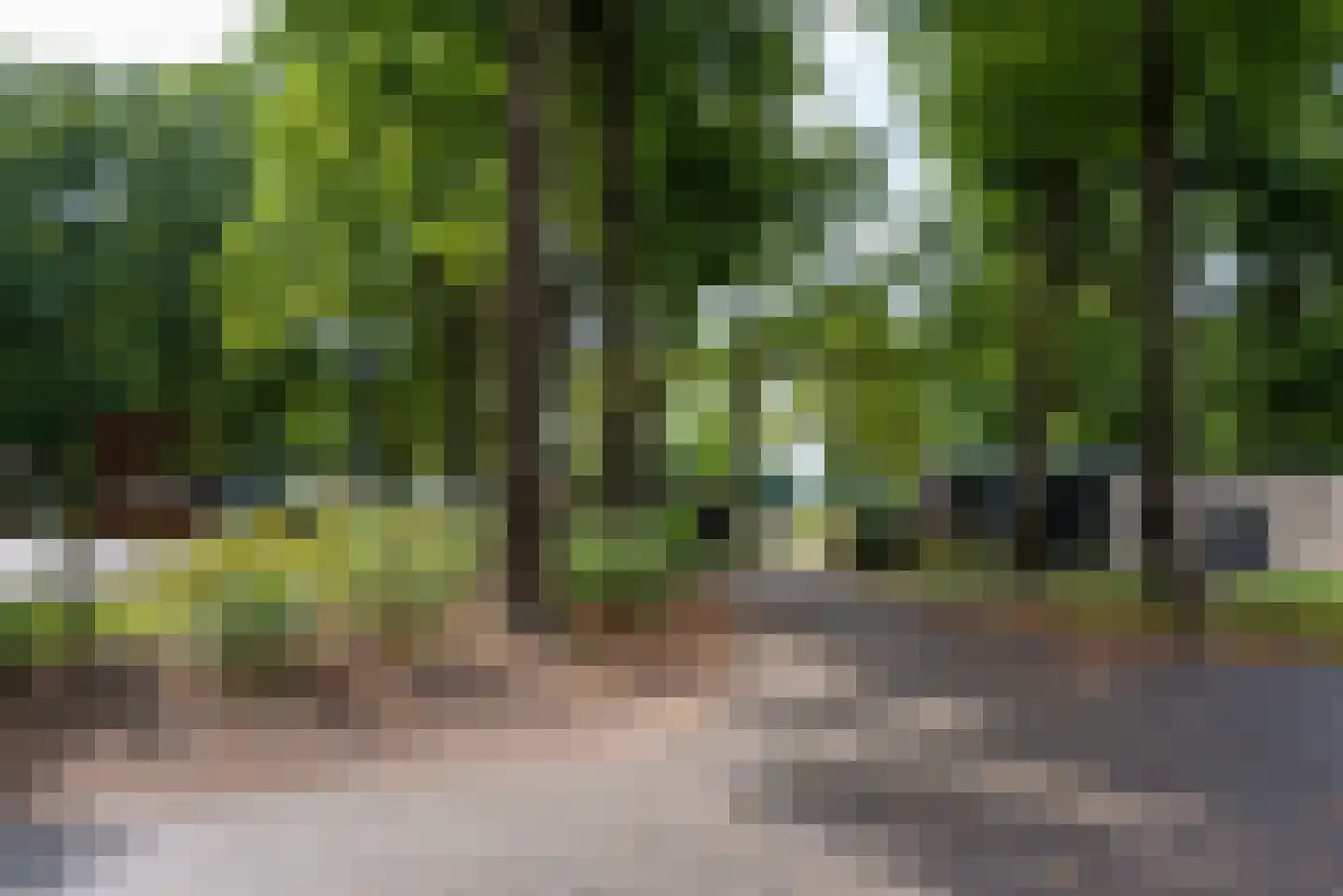 Bathmenseweg 7 H100 Kring van Dorth thumbnail 30