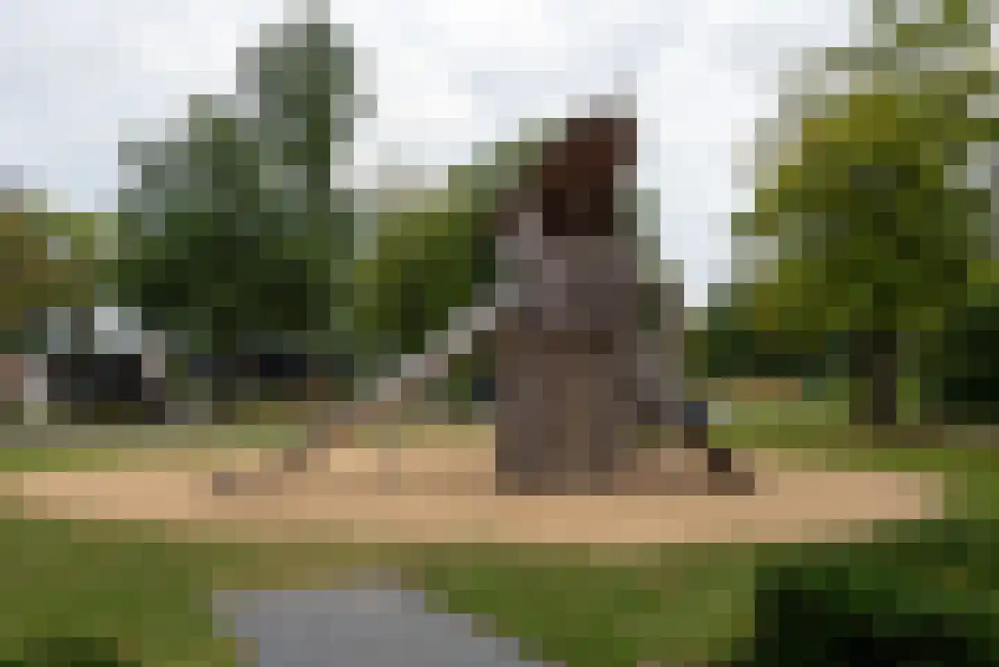 Bathmenseweg 7 H100 Kring van Dorth thumbnail 34