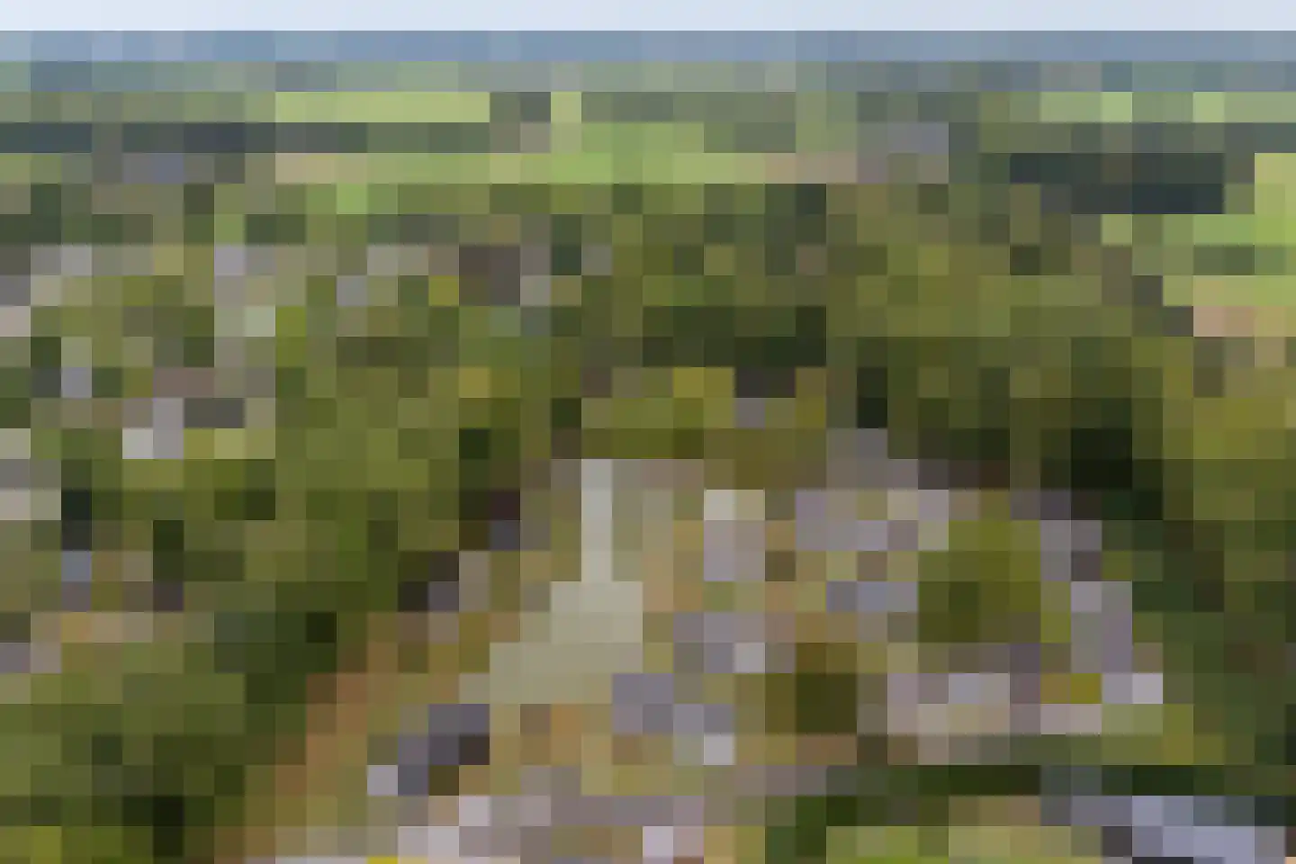 Bathmenseweg 7 H100 Kring van Dorth thumbnail 4
