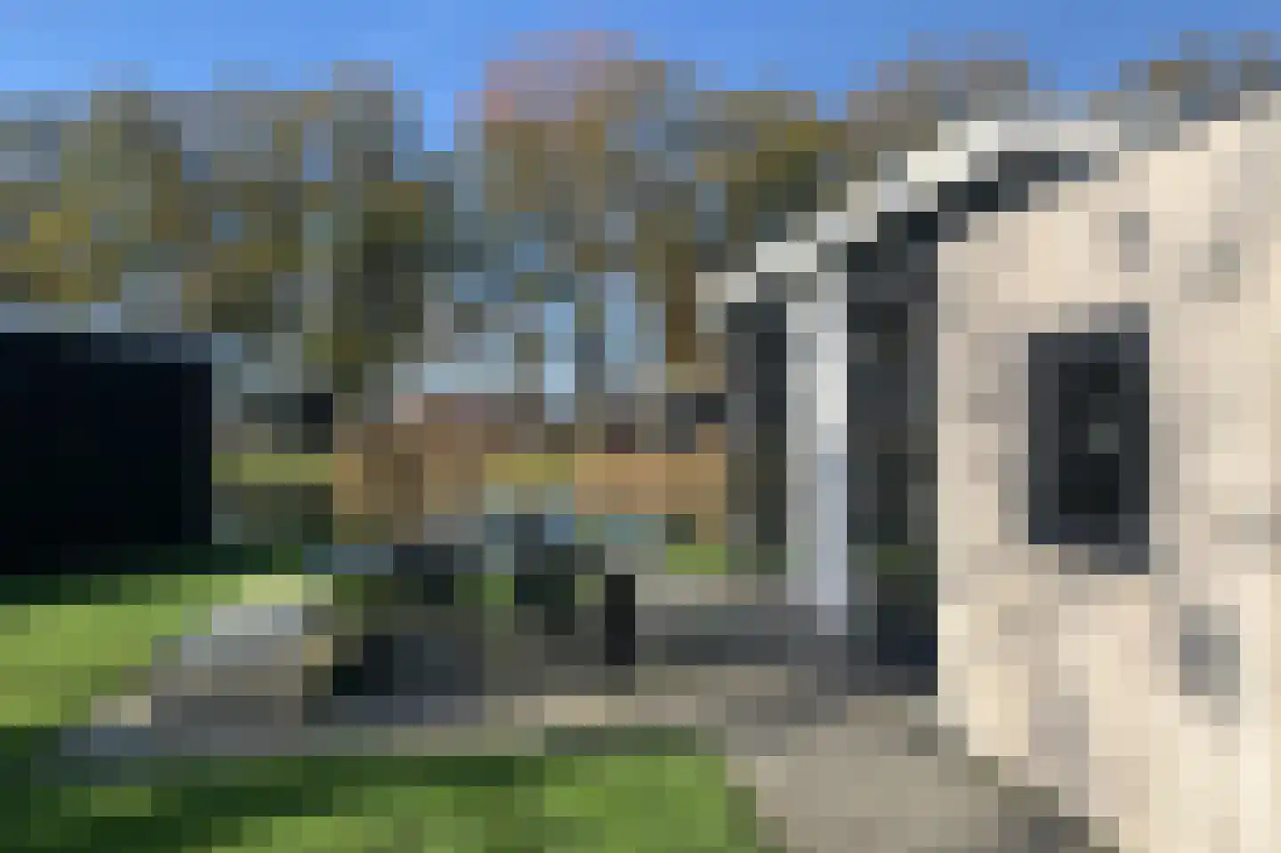 Bathmenseweg 7 H116 Kring van Dorth thumbnail 6