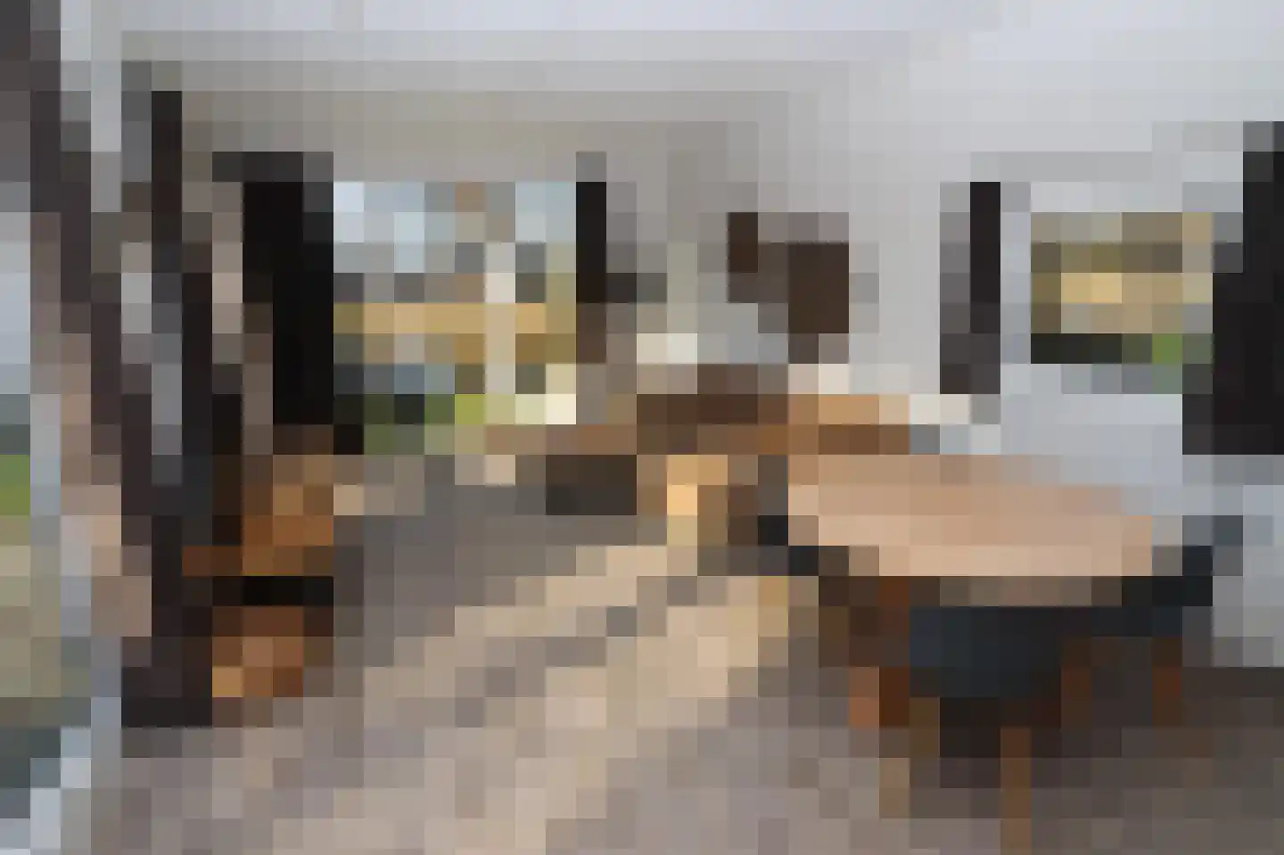 Bathmenseweg 7 H116 Kring van Dorth thumbnail 7