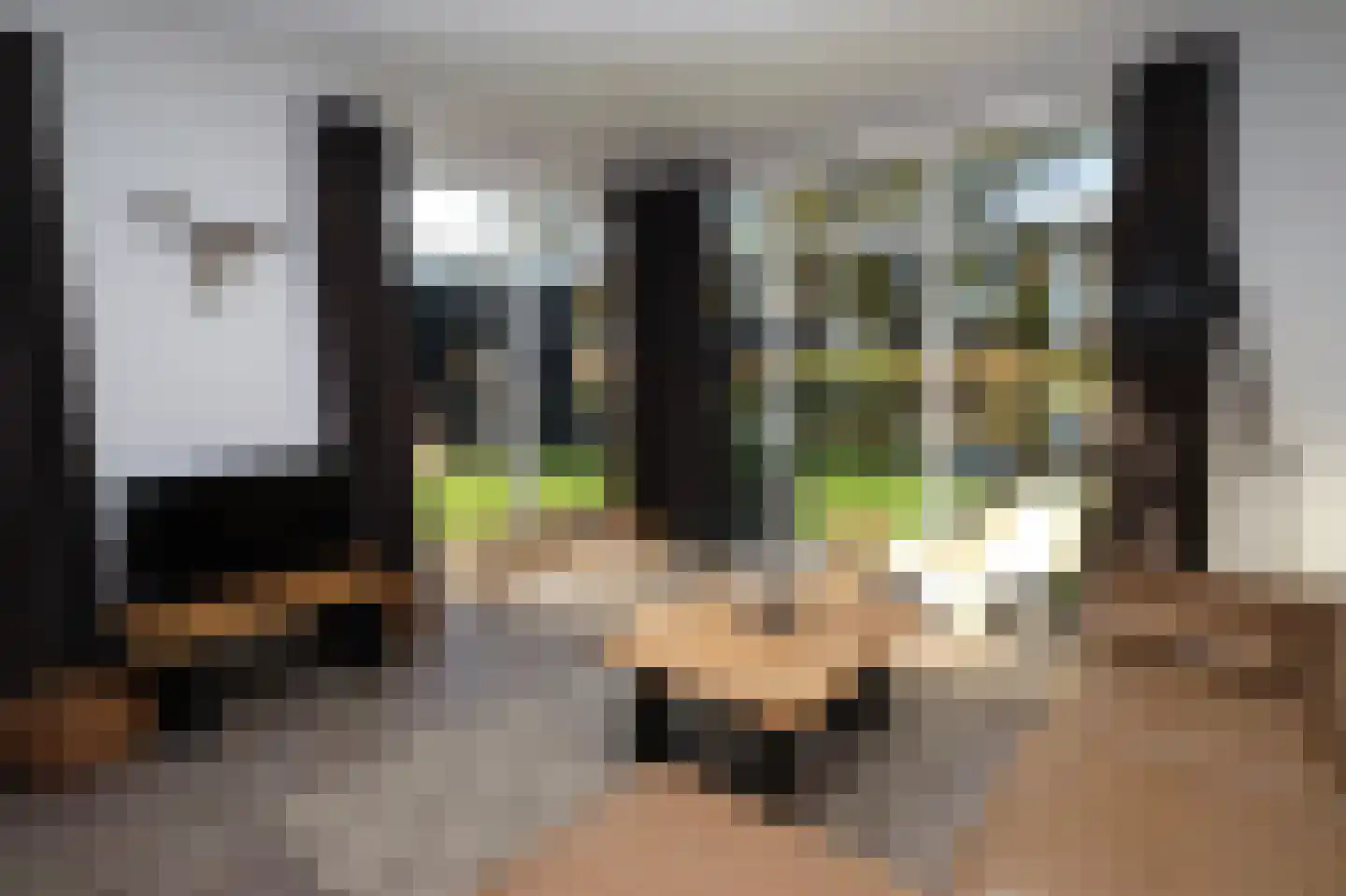Bathmenseweg 7 H116 Kring van Dorth thumbnail 9