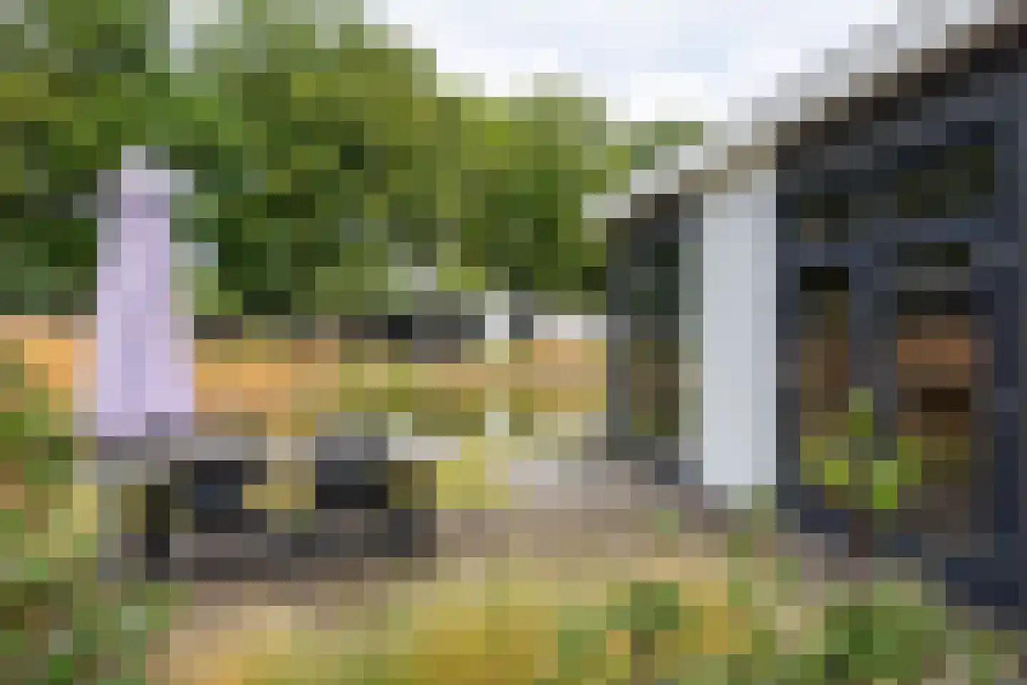 Bathmenseweg 7 H118 Kring van Dorth thumbnail 23