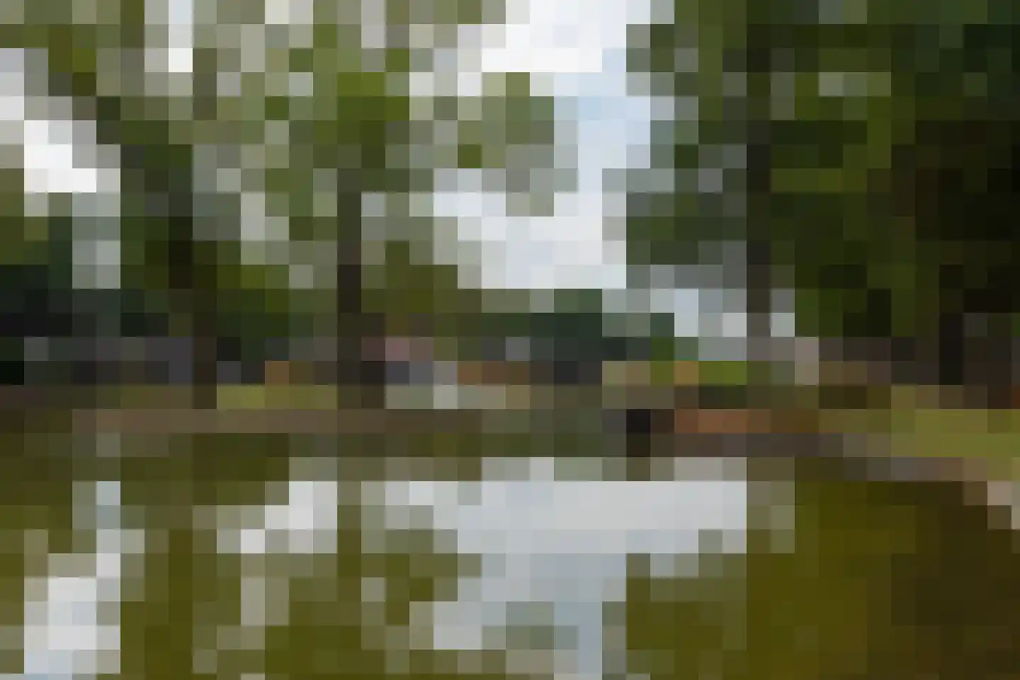 Bathmenseweg 7 H118 Kring van Dorth thumbnail 35