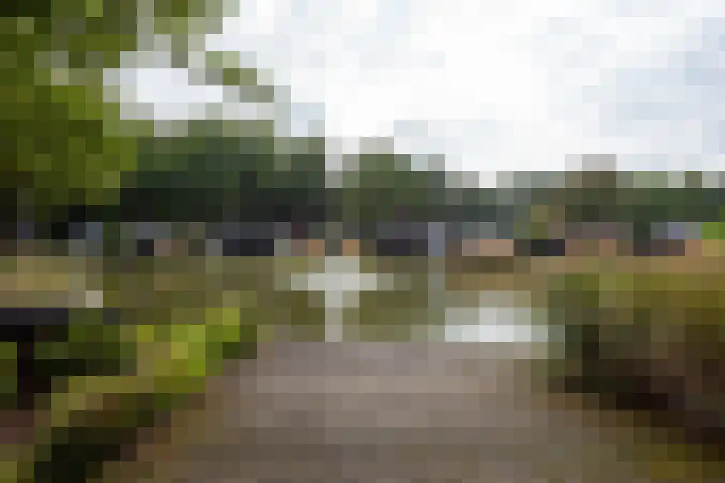 Bathmenseweg 7 H118 Kring van Dorth thumbnail 36