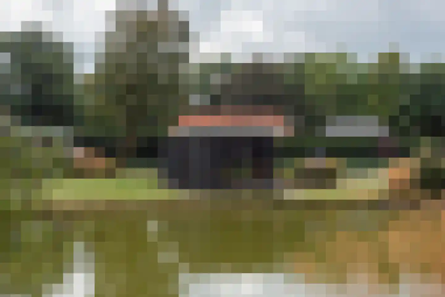 Bathmenseweg 7 H118 Kring van Dorth thumbnail 5