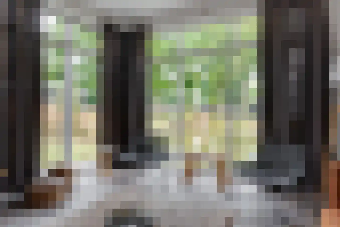 Bathmenseweg 7 H118 Kring van Dorth thumbnail 9