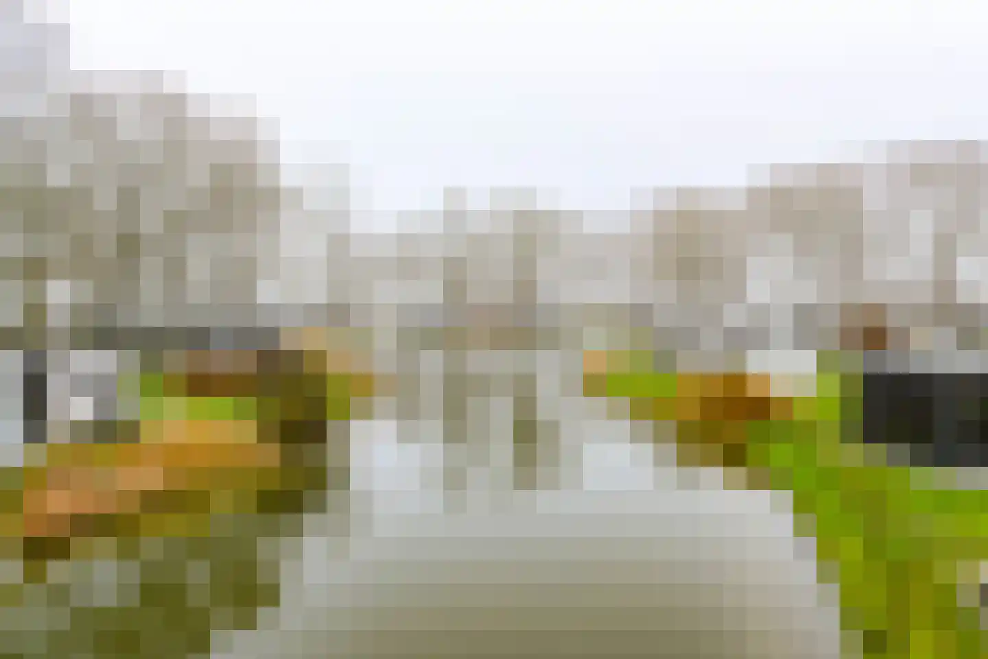 Bathmenseweg 7 H122 Kring van Dorth thumbnail 4