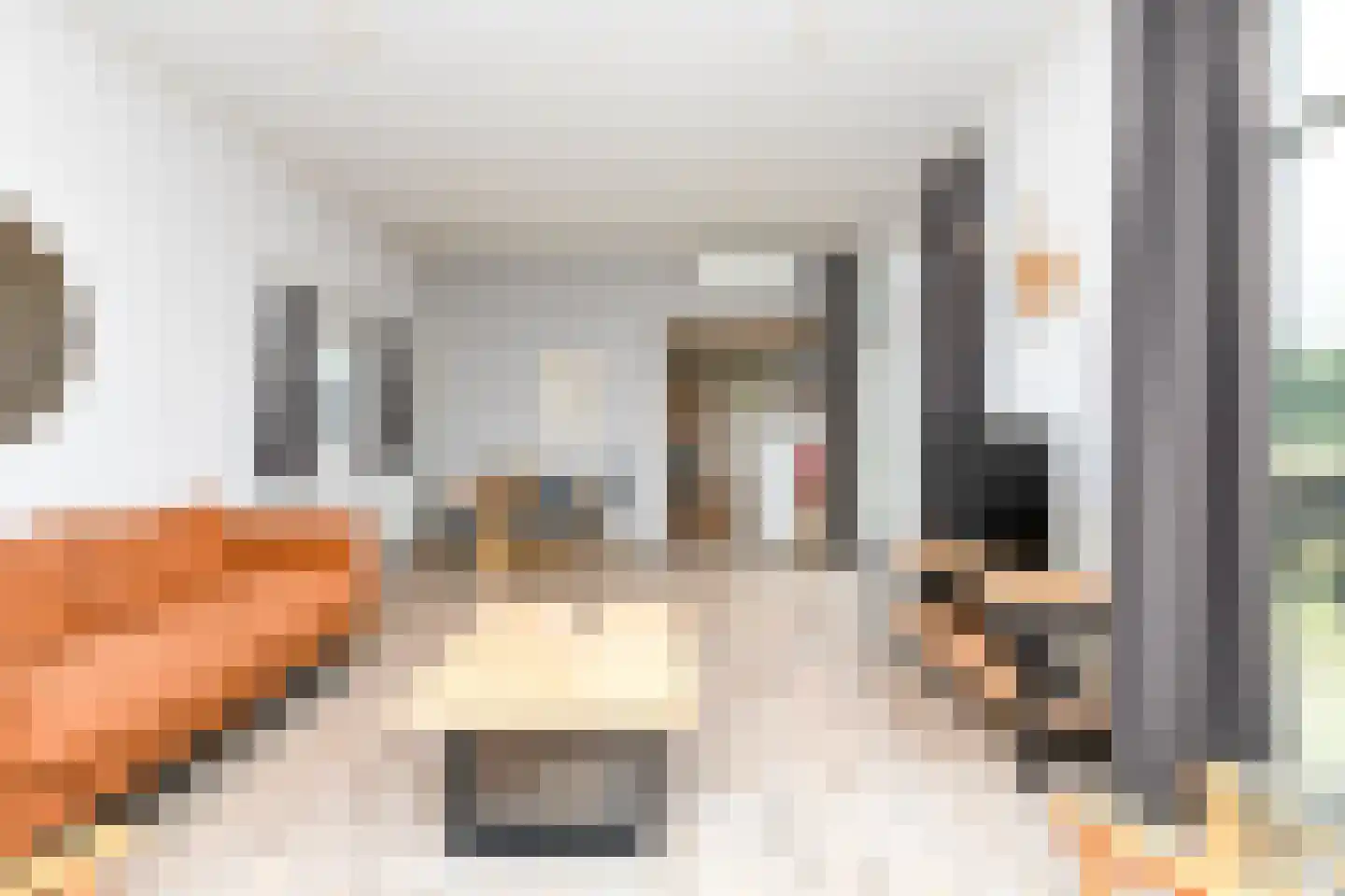 Bathmenseweg 7 H122 Kring van Dorth thumbnail 7