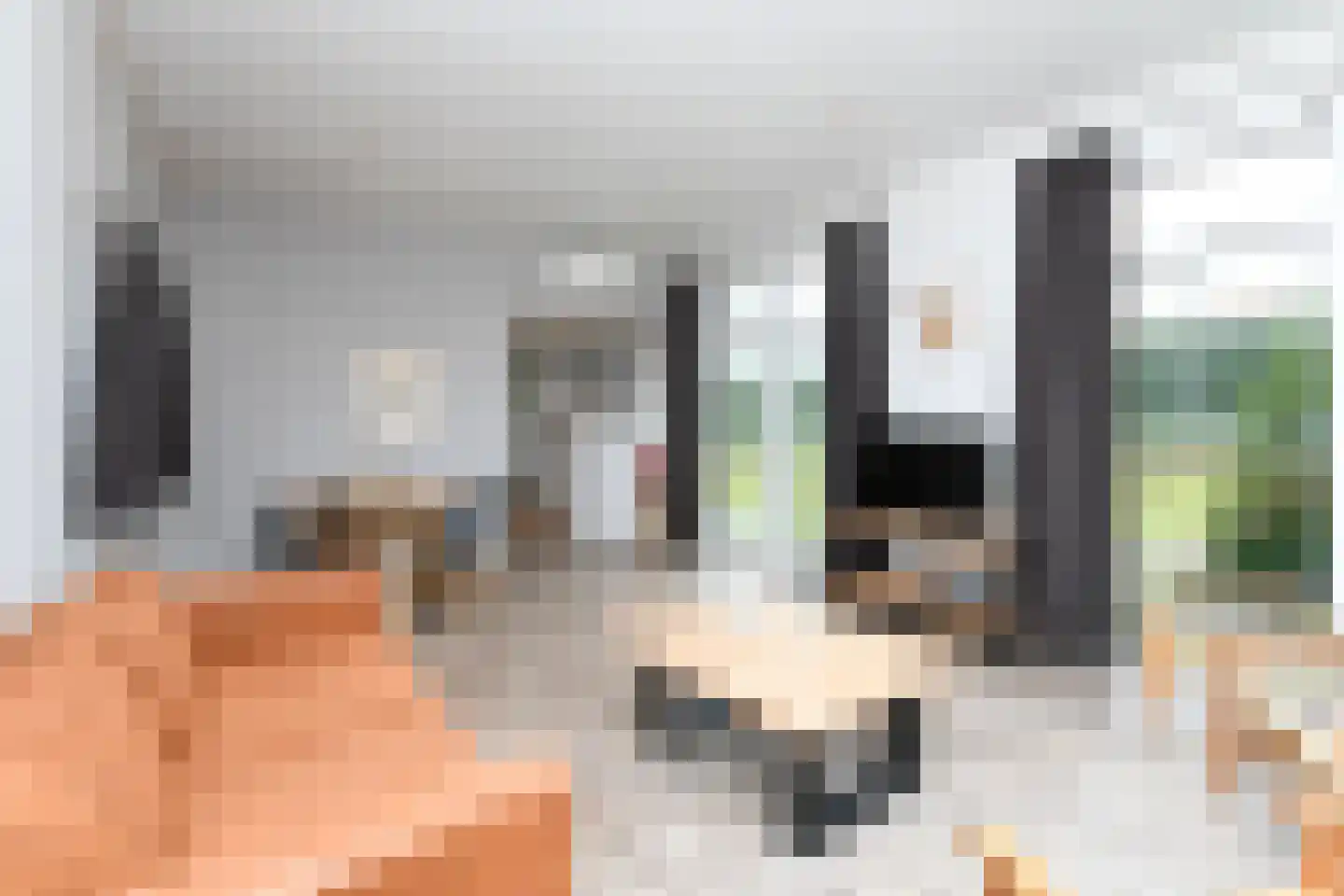 Bathmenseweg 7 H122 Kring van Dorth thumbnail 8