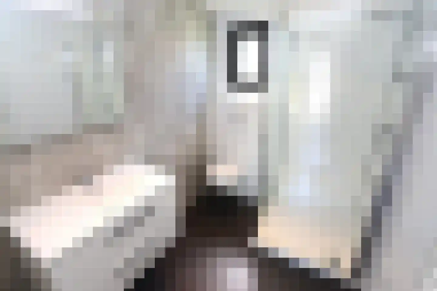 Bathmenseweg 7 H206 Epse thumbnail 14