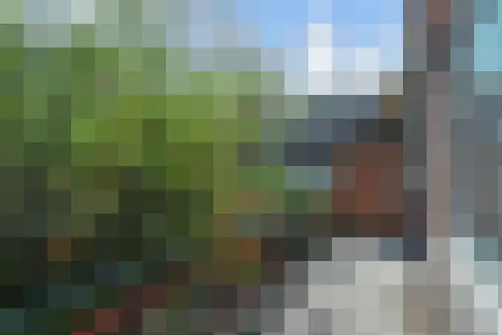 Bathmenseweg 7 H206 Epse thumbnail 4