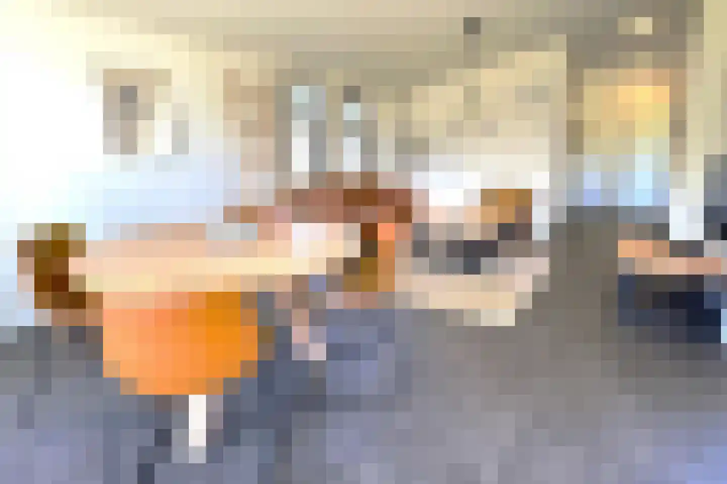 Bathmenseweg 7 H206 Epse thumbnail 9