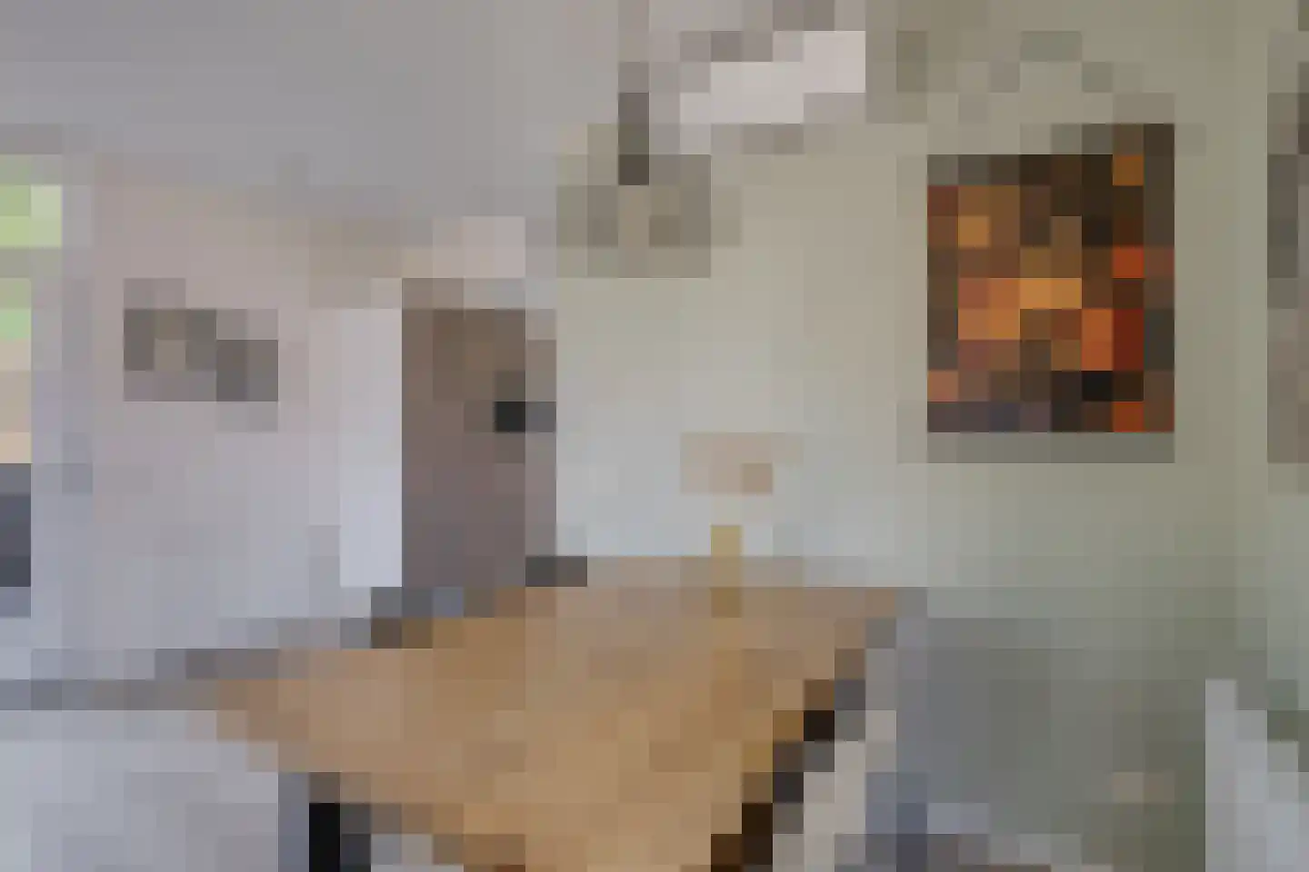 Bathmenseweg 7 H207 Epse thumbnail 11