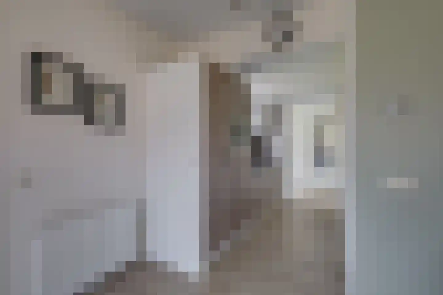 Bathmenseweg 7 H207 Epse thumbnail 12
