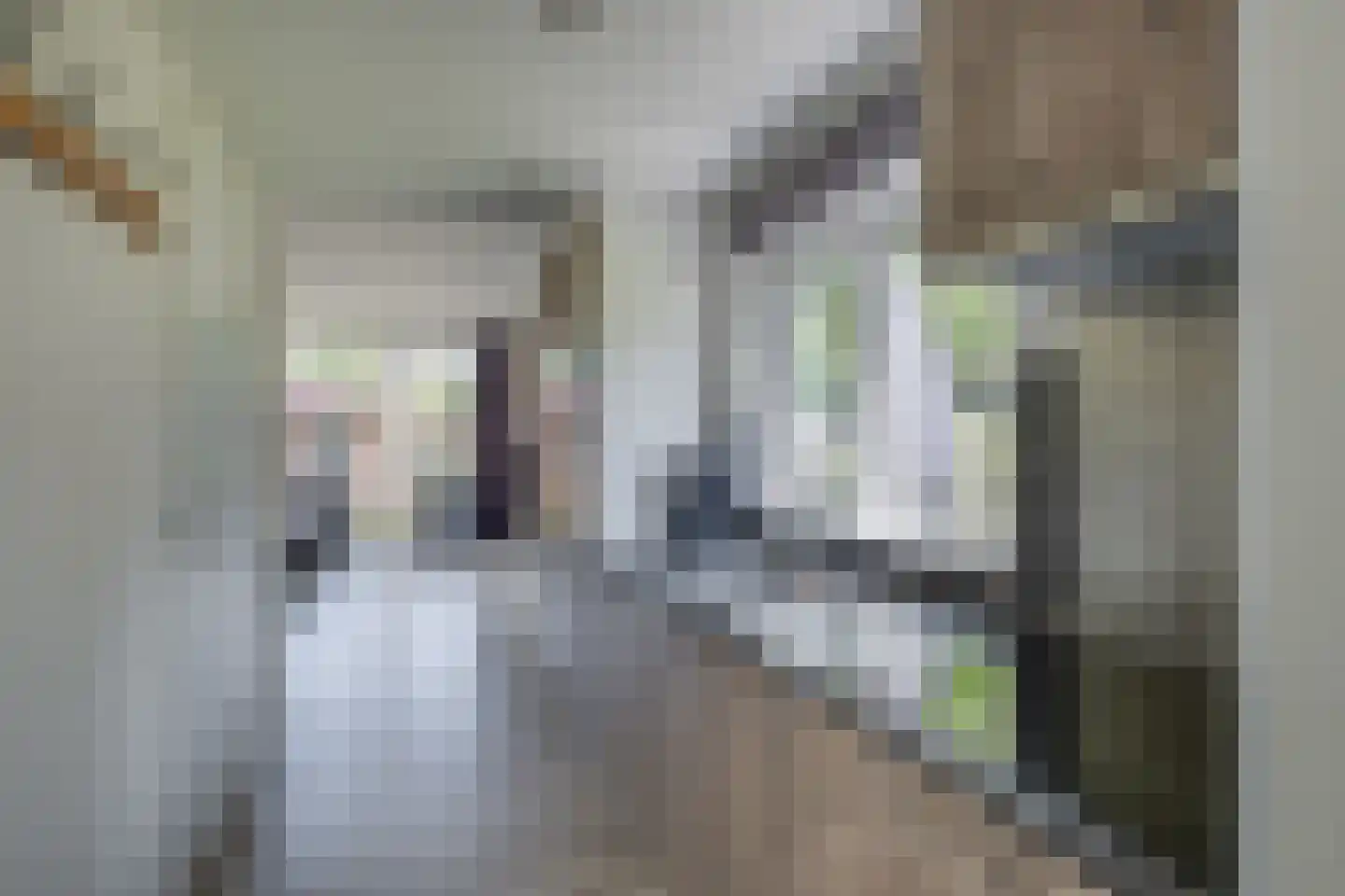 Bathmenseweg 7 H207 Epse thumbnail 14