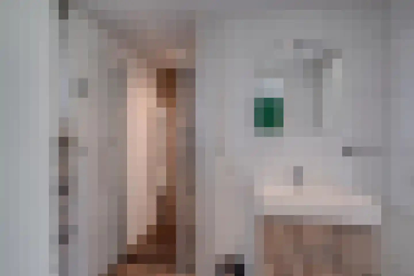 Bathmenseweg 7 H207 Epse thumbnail 21