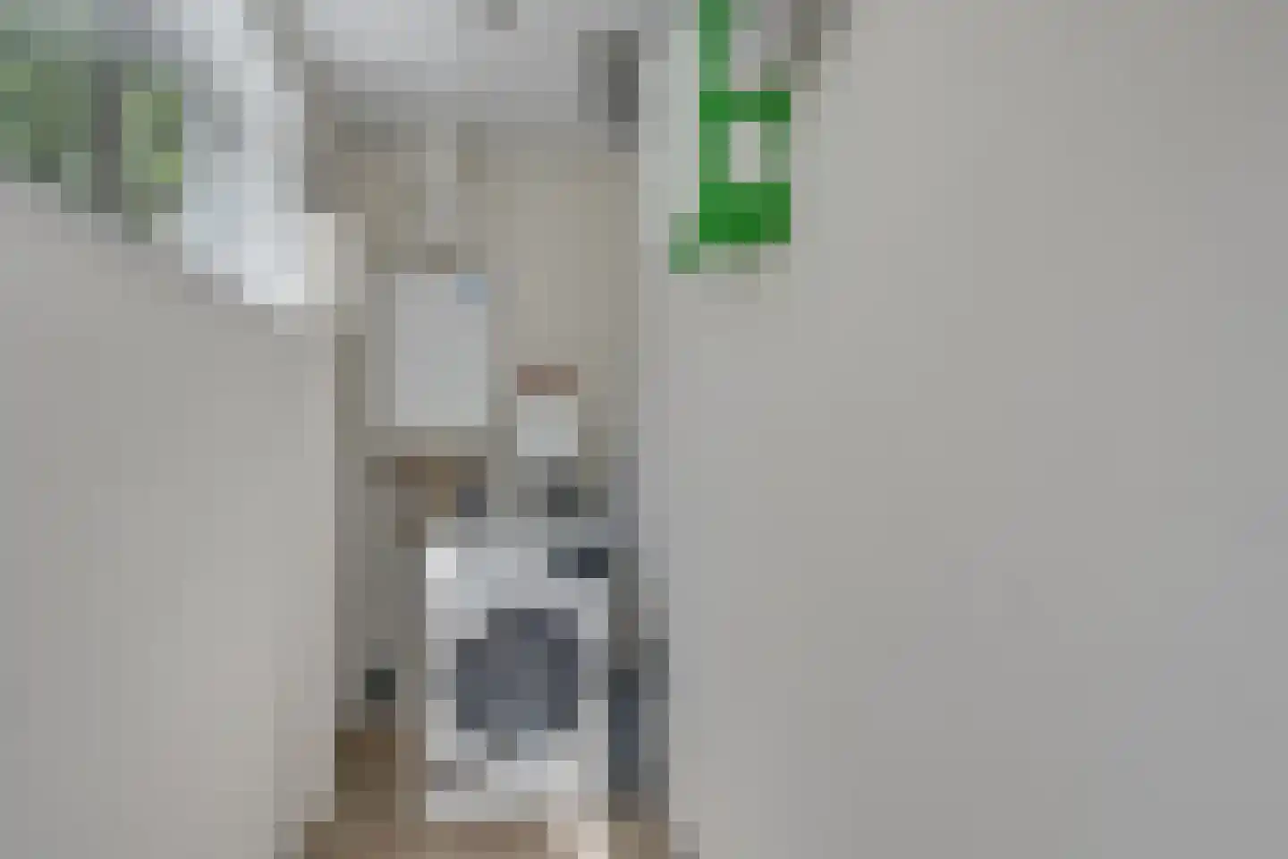 Bathmenseweg 7 H207 Epse thumbnail 24